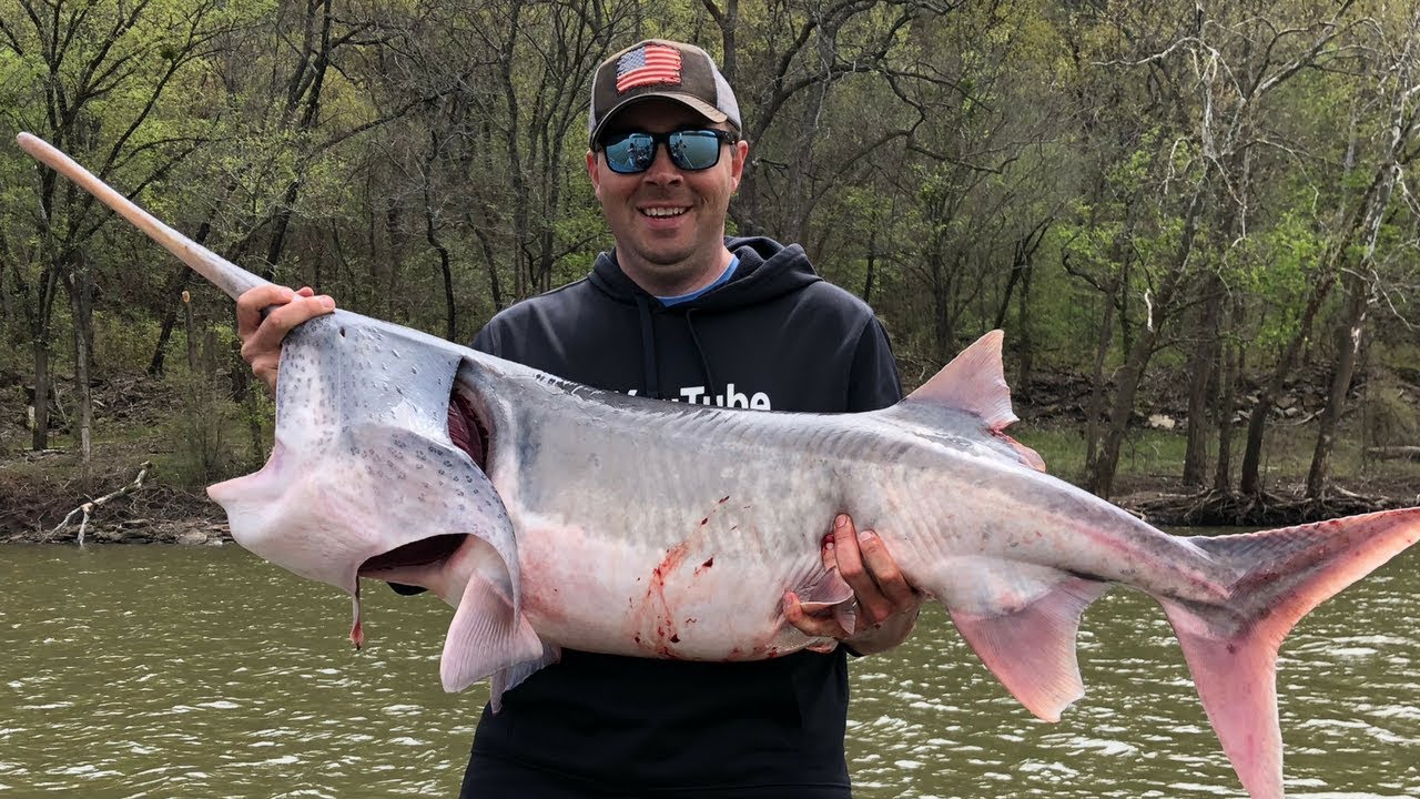 Monster Fish in Oklahoma! Snagging Paddlefish with T.McD's Guide