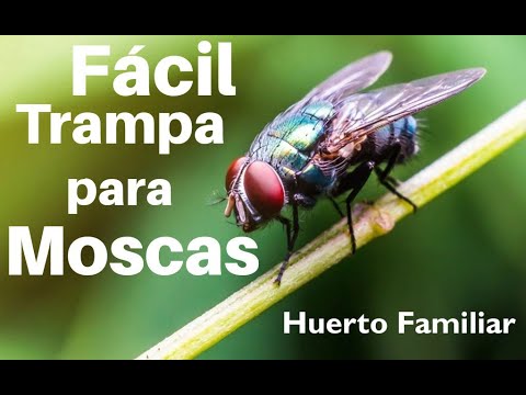 Video: Moscas taquínidas en los jardines - ¿Son beneficiosas las moscas taquínidas?