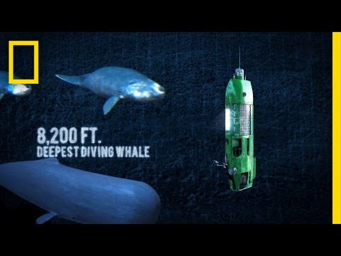 Long Way Down: Mariana Trench