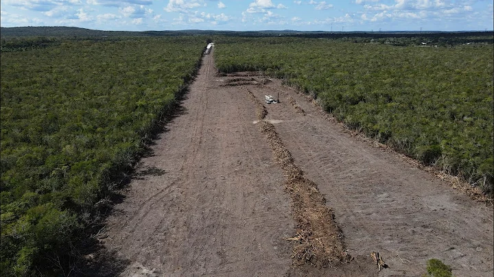 Mexico: worry that Maya Train will destroy jungle