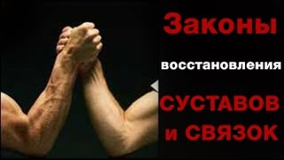 ЗАКОНЫ ВОССТАНОВЛЕНИЯ костей и связок.