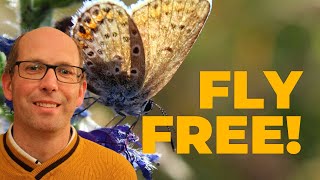 Prophetic Word 🌟 You're About to Fly Free into a New Life of Victory and Joy!