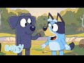 ベスト・オブ・ブルーイ&ビンゴズ・フレンズ(シーズン1より | ブルーイ - 日本公式チャンネル - Bluey