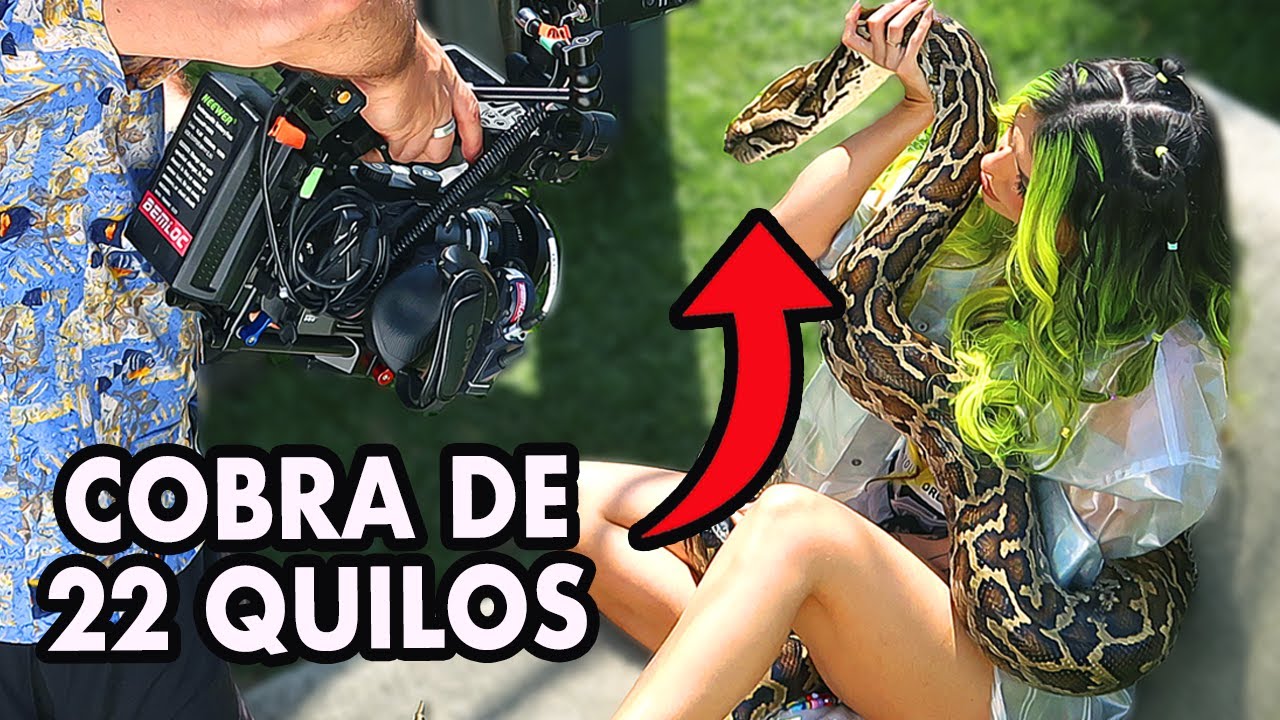 Gravei um CLIPE com uma COBRA!!!
