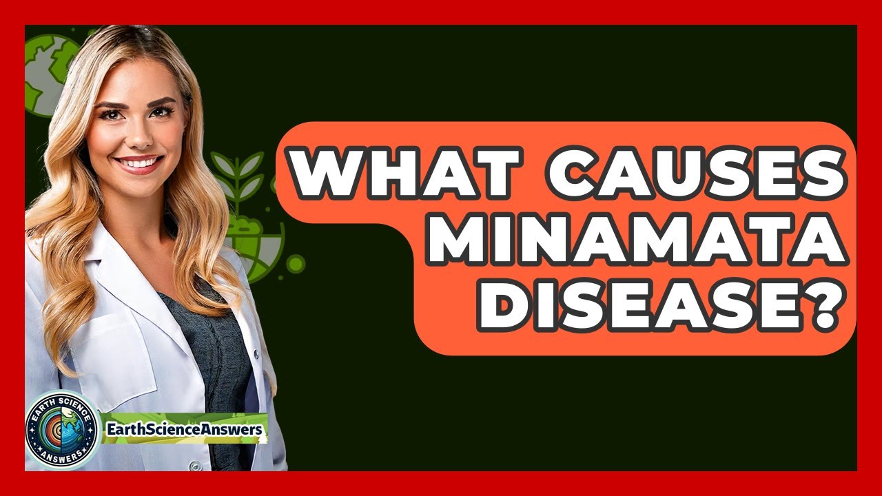 What Causes Minamata Disease? - Earth Science Answers