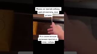 Лучшие тикток мемы #1577 | Best TikTok memes #shorts #memes #мем