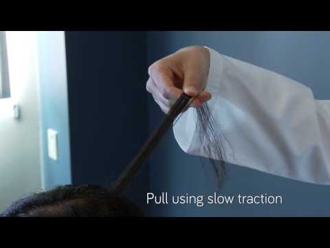Hair Pull Test