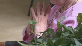 Board of Supervisors approve shared housing program to combat senior homelessness