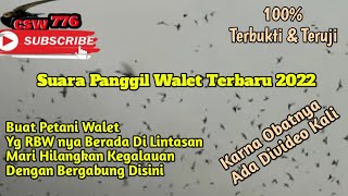 SUARA PANGGIL WALET KHUSUS DAERAH LINTASAN Part.01 TOP RESPON