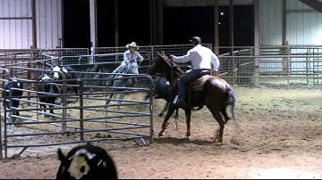 Valley View Ranch  - Muy Chula sorting -   ***For info, price, etc., go to our website***