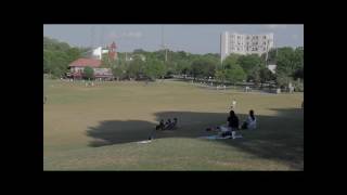 A Day At The Park Shot With The Panasonic Lumix G7