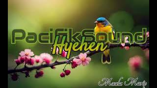 Download Lagu ☆☆DJ CSS☆((Te ava Piti))Cover 2K26 ☆☆