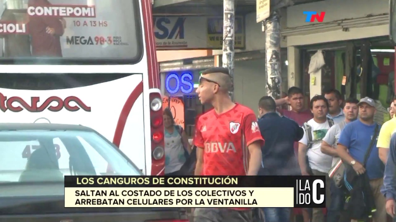 Los canguros de Constitución