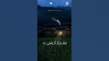 واصطنعتك لنفسي | من سورة طه | أحمد الشافعي | طمأنينة لروحك 💙🍃