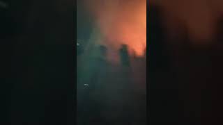 الحرائق تأكل الأخضر واليابس في الجزائر
