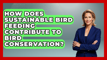 How Does Sustainable Bird Feeding Contribute To Bird Conservation? - Bird Watching Diaries