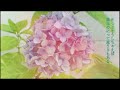 【Cover】恵まれ過ぎて / 櫻坂46