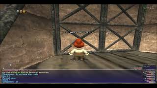 FFXI HorizonToadal Recall Shepherd's Boots Warlock's Mantle