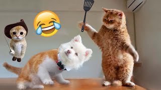 FunBeeTRY NOT TO LAUGH  Best Funny Videos Compilation  Memes