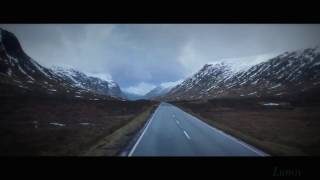 6 dogs – beautiful whips (Lunov)