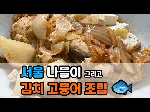 시골 돼지의 서울 구경 & 특별식