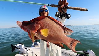 Catching GIANT Hog Fish on Light Tackle (Hog Fish on Hook and Line)