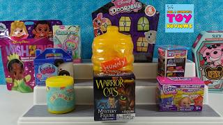 Assorted Blind Box Unboxing Disney LPS Warrior Cats Pooh & More