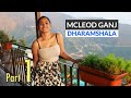 Exploring McLeod Ganj in Dharamshala - Mcleodganj Tourist Places - Bhagsunag Waterfall - Road Trip