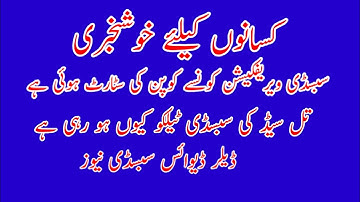 DAP subsidy new update new method | Dealer device subsid | DAP subsidy verification started