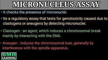 Micronucleus Assay | In Vitro Micronucleus Assay | In Vivo Micronucleus Assay |