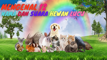 Belajar Mengenal Nama-nama dan suara Hewan Ternak