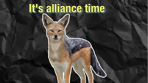 Wolf Game The Wild Kingdom Beta Testing Part 4 (iOS device)