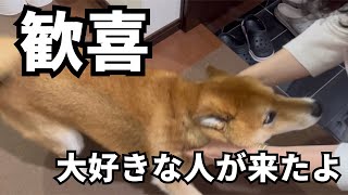 かーちゃんの母登場で、歓喜のあまり喋り出した柴犬。