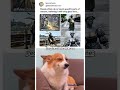 Why people rub these specific parts of statues for good luck funny meme travel