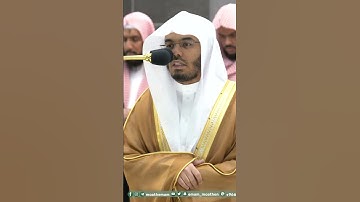 الله الذي خلق السماوات والأرض ~ تلاوة بتحبير آسر للشيخ ياسر الدوسري - التلاوة كاملة بالوصف