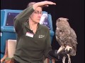 The Raptor Center (The Mary Hanson Show)