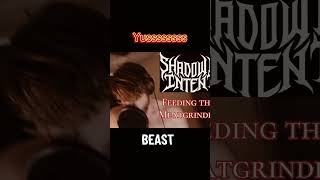 Feeding The Meat Grinder Breakdown By