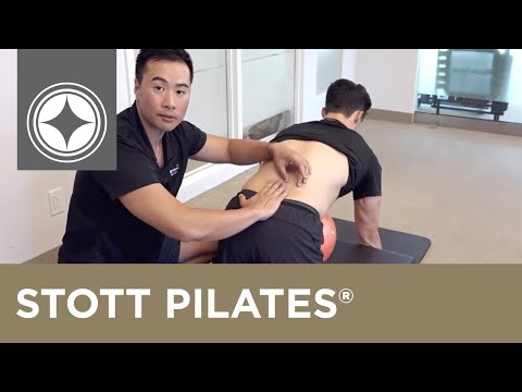 Oefening van de maand | STOTT PILATES® Rehab: Multifidus Targeter-oefening