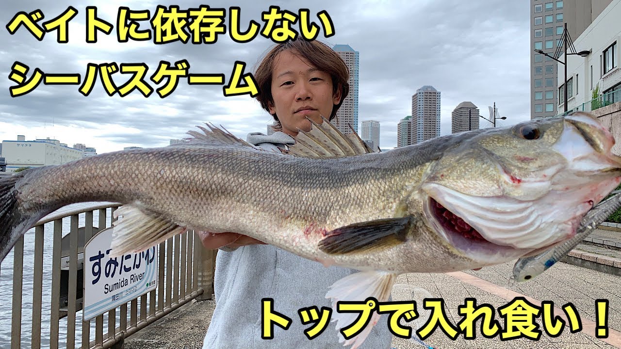 一投でシーバスを釣る方法