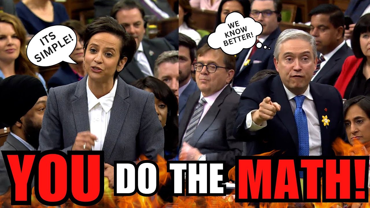 Conservative MP Lantsman Shuts Down Liberal Math - YouTube