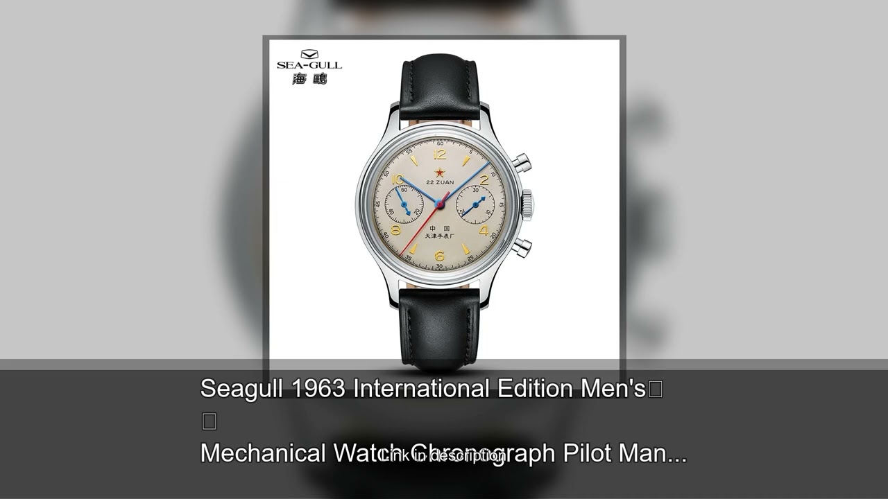 Seagull 1963 International Edition Men's Mechanical Watch Chronograph Pilot Manual Winding Watc