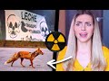 MITOS Y REALIDADES DE CHERNOBYL: ACCIDENTE NUCLEAR Y ZONA RADIOACTIVA ✦ IRYNA FEDCHENKO