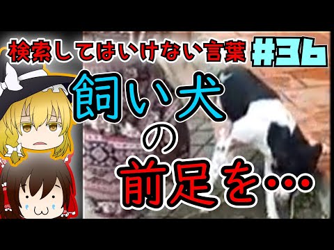 【ゆっくり解説】検索してはいけない言葉part36