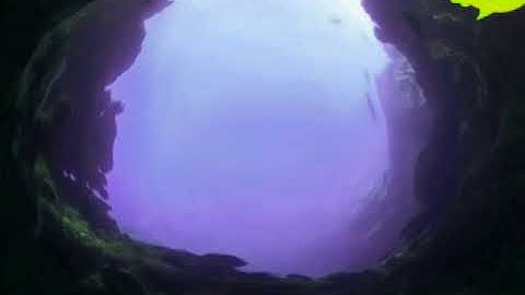 AVS4YOU Video Editior Presents Sample Project V1.1 is Inflated