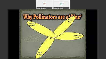 Pollinators: The Glue that Connects Sustainability Issues | Peter Berthelsen | March 2020