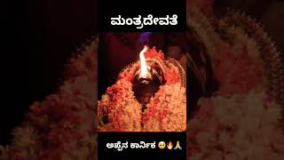 ಮಂತ್ರದೇವತೆ ಅಪ್ಪೆನ ಕಾರ್ನಿಕೊನು ತೂಲೆ 🔥🥺🙏