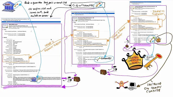 Cryptography/SSL 101 #5: SSL certificate chain in depth