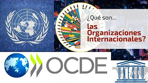 ¿Qué significan los organismos internacionales?