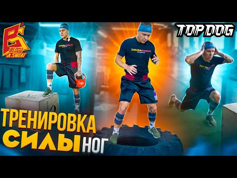 Тренировка силы ног для скорости футворка / Упражнения от бойца Top Dog Евгения "Шиши" Шишкова