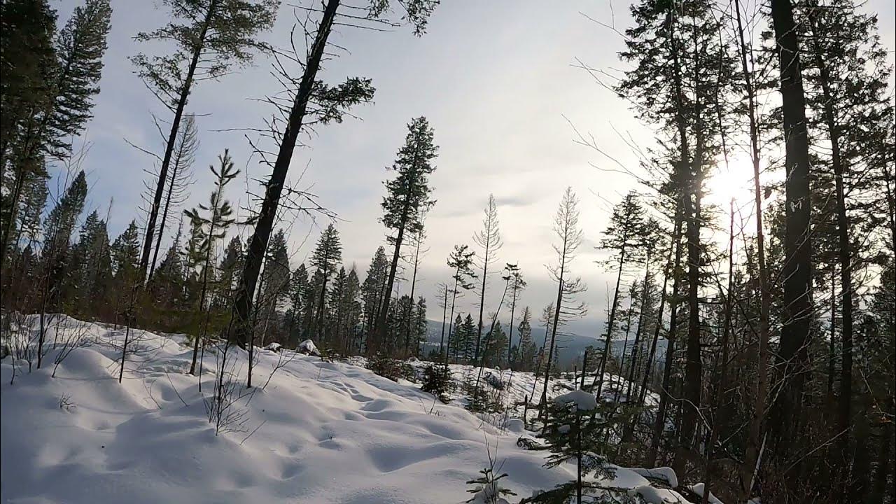 Whitefish, Montana Snowshoeing the Swift Creek Trail YouTube